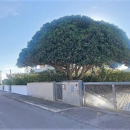 Albeale Casa de Férias